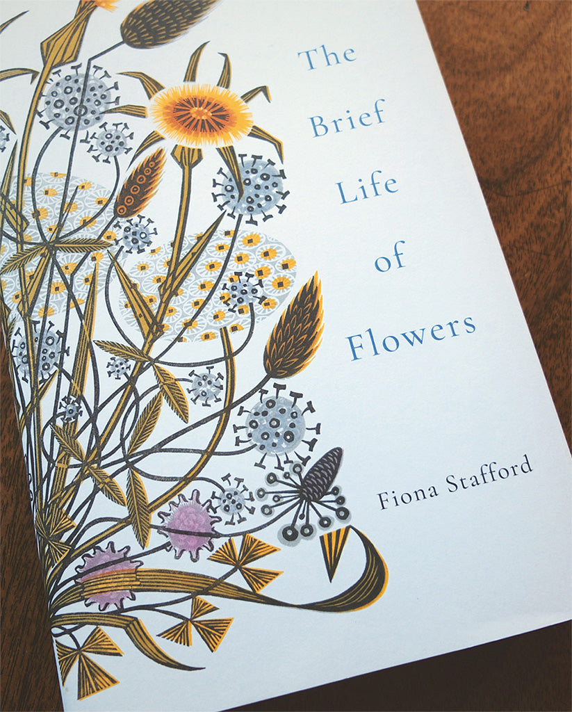 The Brief Life of Flowers - Angie Lewin - printmaker and painter