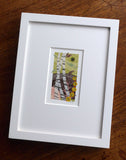 Birches by Lochan - Angie Lewin - printmaker and painter