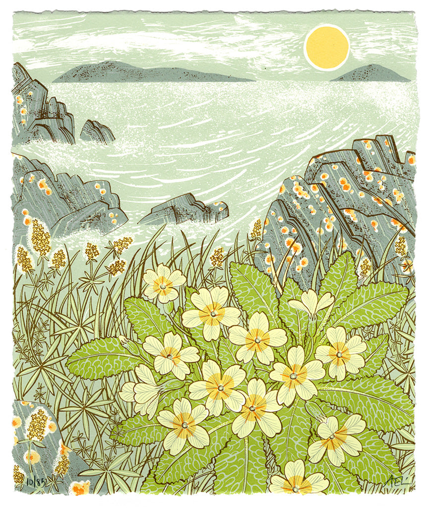 Island Primrose - Angie Lewin - printmaker and painter