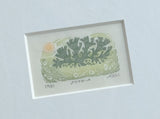Strand - framed - Angie Lewin - printmaker and painter