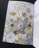The Book of Pebbles - Angie Lewin - printmaker and painter