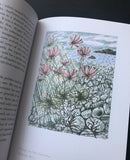 The Book of Pebbles - Angie Lewin - printmaker and painter