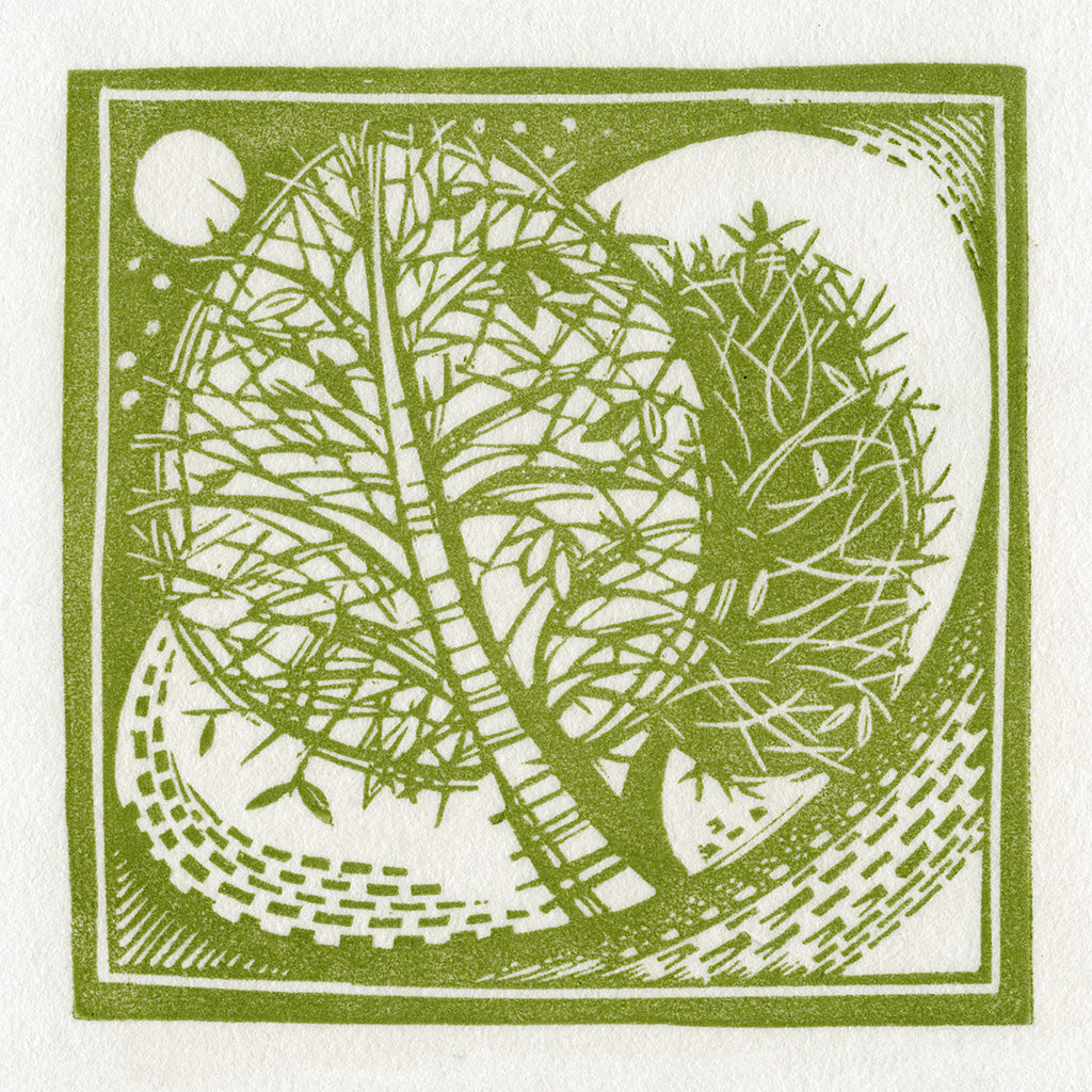 Winter Tree - Angie Lewin - printmaker and painter