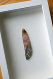 Thrift and Sun - Angie Lewin - printmaker and painter