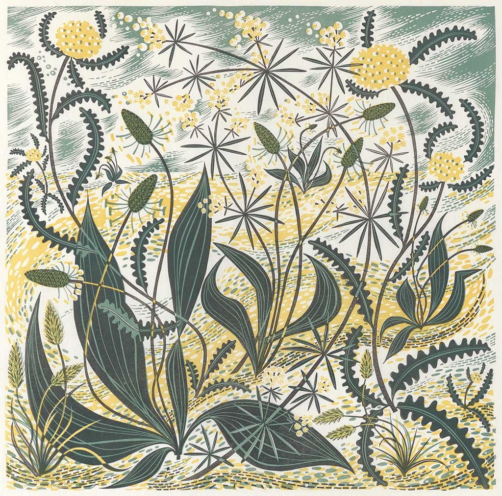 Sollas Sands - Angie Lewin - printmaker and painter