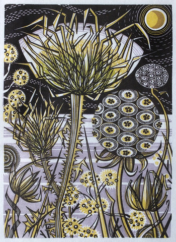 Spanish Seedheads