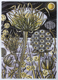Spanish Seedheads - Angie Lewin - printmaker and painter